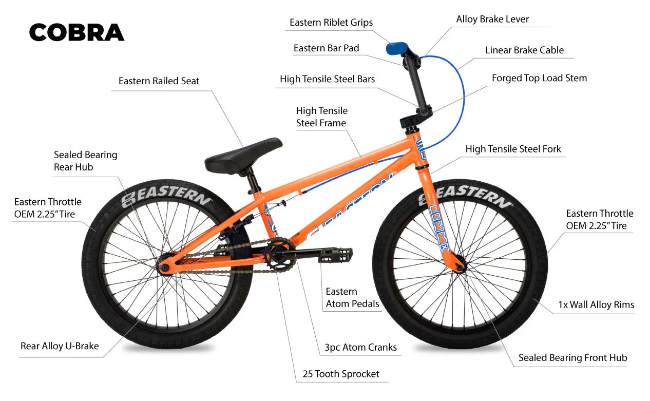 Eastern Cobra 20" BMX - Teal