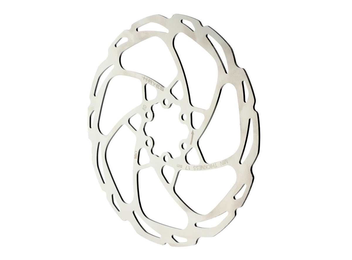 Hayes D Series Disc Brake Rotor w/Hardware Silver 203mm