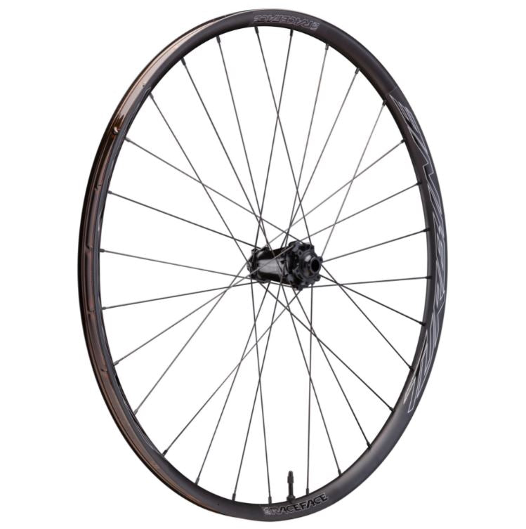Race Face Turbine-SL 25 29" MTB Wheel - Front Black 15x110mm