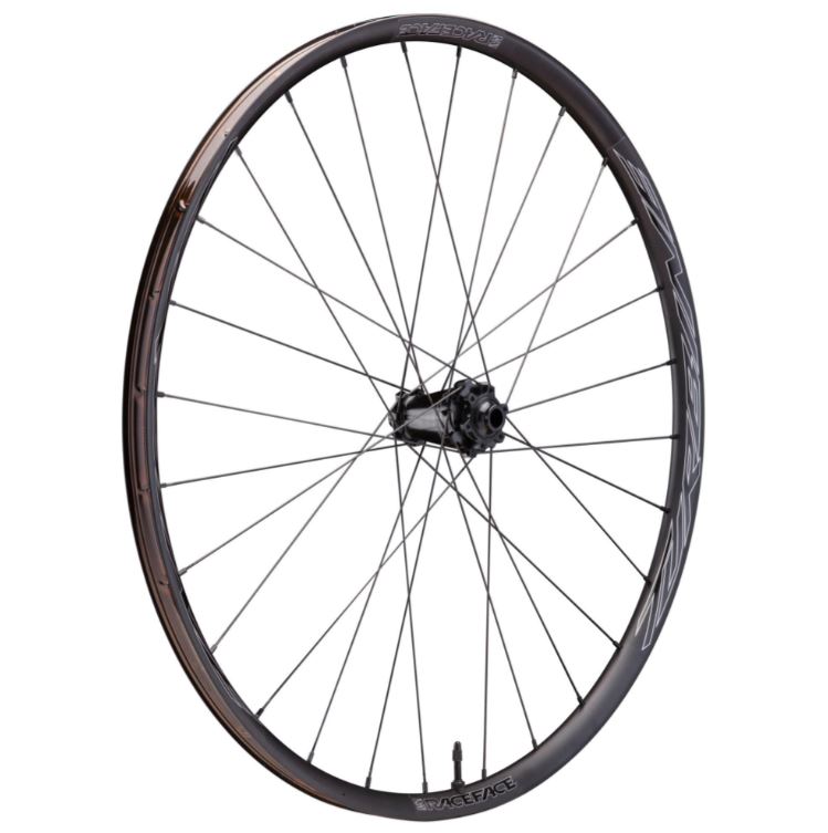 Race Face Turbine-SL 25 29" MTB Wheel - Front Black 15x110mm