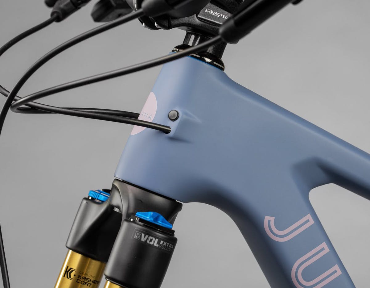 Juliana Roubion Carbon CC MX - X01 AXS Reserve - Blue - 2022