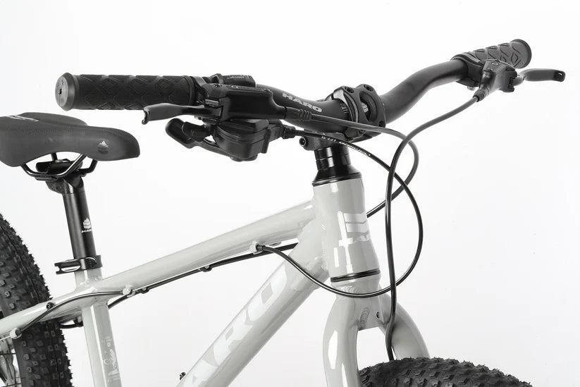 Haro Flightline 20" Plus Disc Kids Bike - Cool Gray
