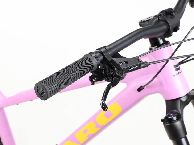 Haro Saguaro 3 29" - Matte Mauve