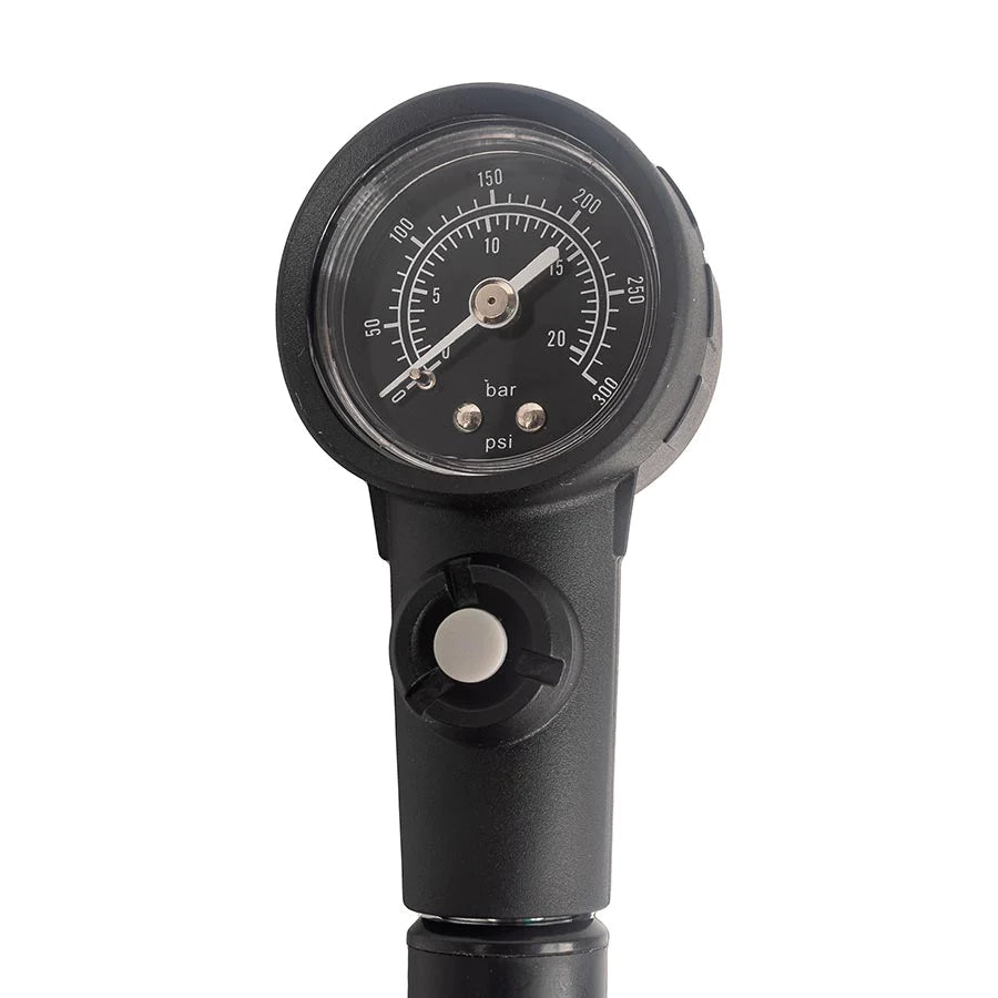 Evo Storm Shock Fork & Shock Pump