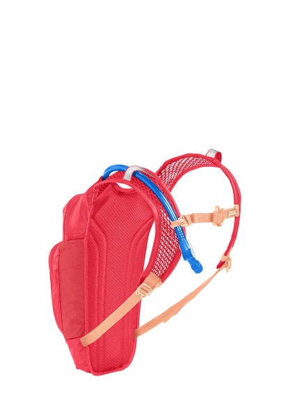 Camelbak Mini M.U.L.E. Hydration Pack - 50oz - Pink-Flowers