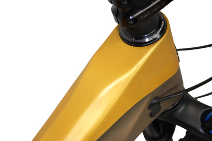 Intense ACV 27.5+ Pro Build - Matt Gold-Matt Brown - Large - Demo