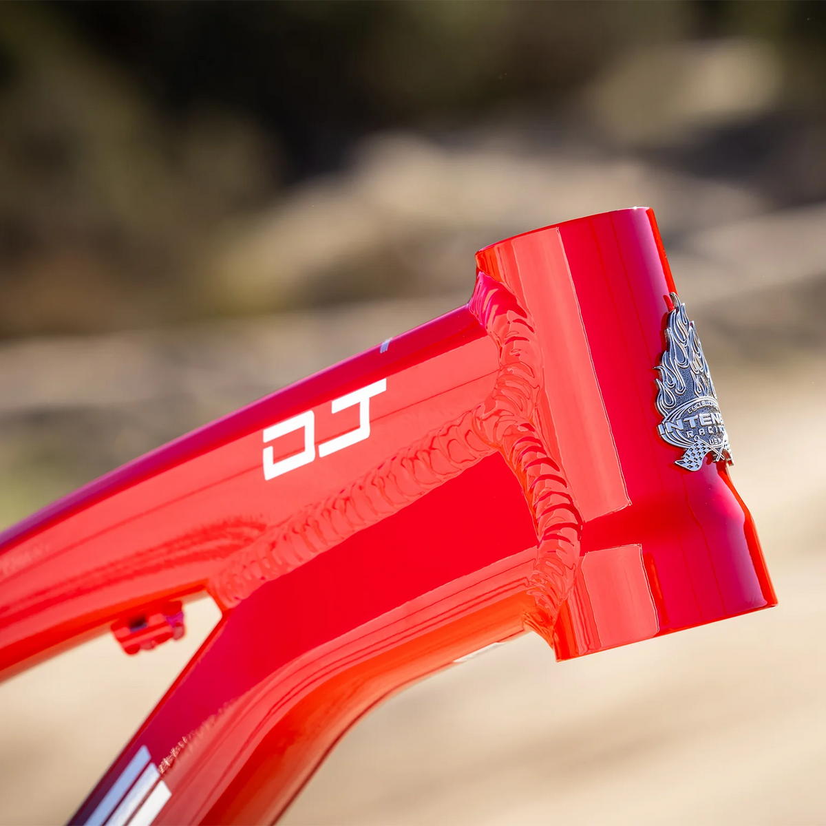 Intense DJ 26 Frame - Gloss Red to Black Fade - 2026