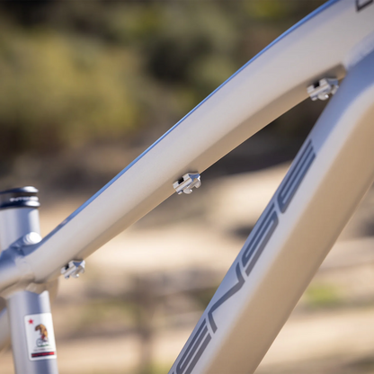 Intense DJ 26 Frame - Titanium - 2026