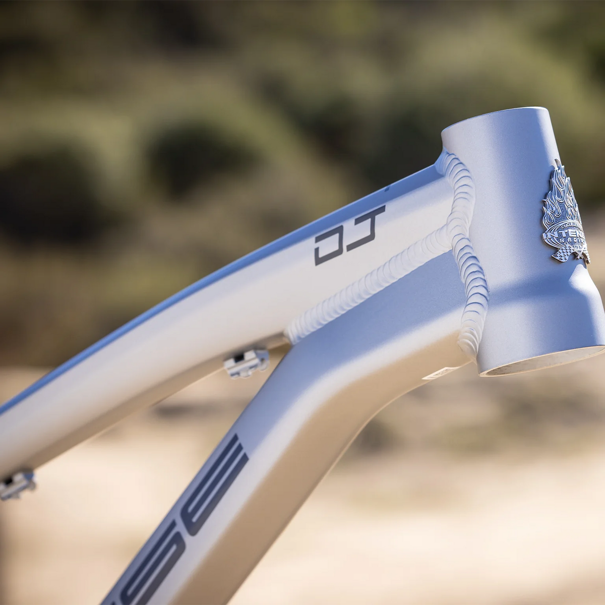 Intense DJ 26 Frame - Titanium - 2026