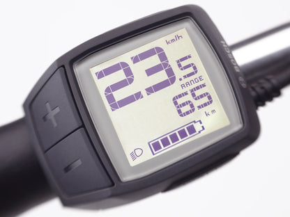 Electra Townie Go! 5i 26 EQ Step-Over - Meteorite - 2024