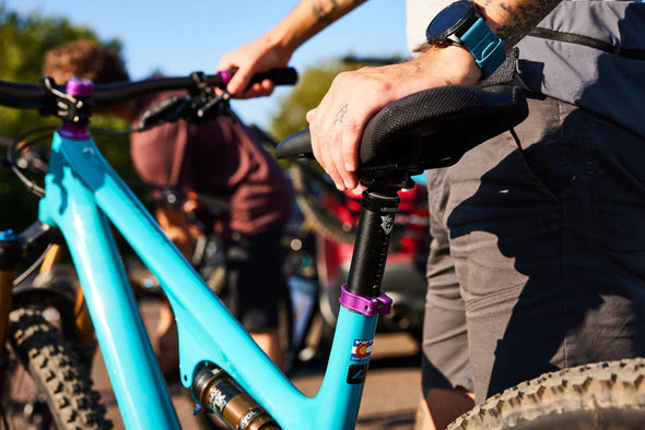 Wolf Tooth Components Resolve Dropper Post - 31.6mm