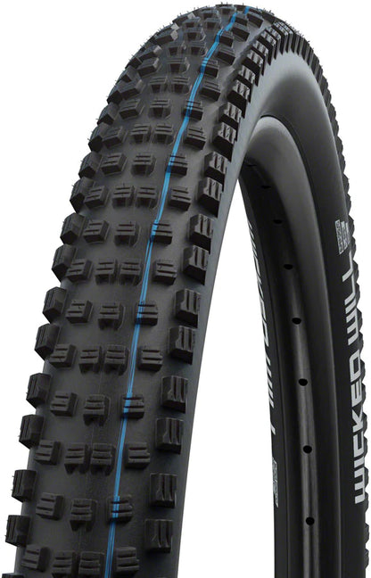 Schwalbe Wicked Will Evo 29" Folding MTB Tire