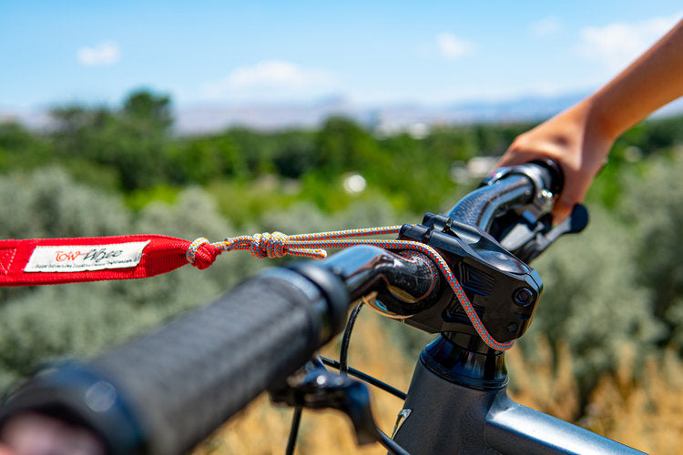 TowWhee Fast Stem Hook - Blue-Red